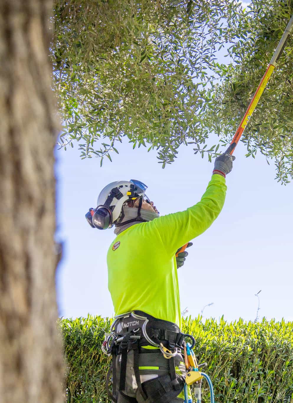 Moon Valley Nurseries Tech