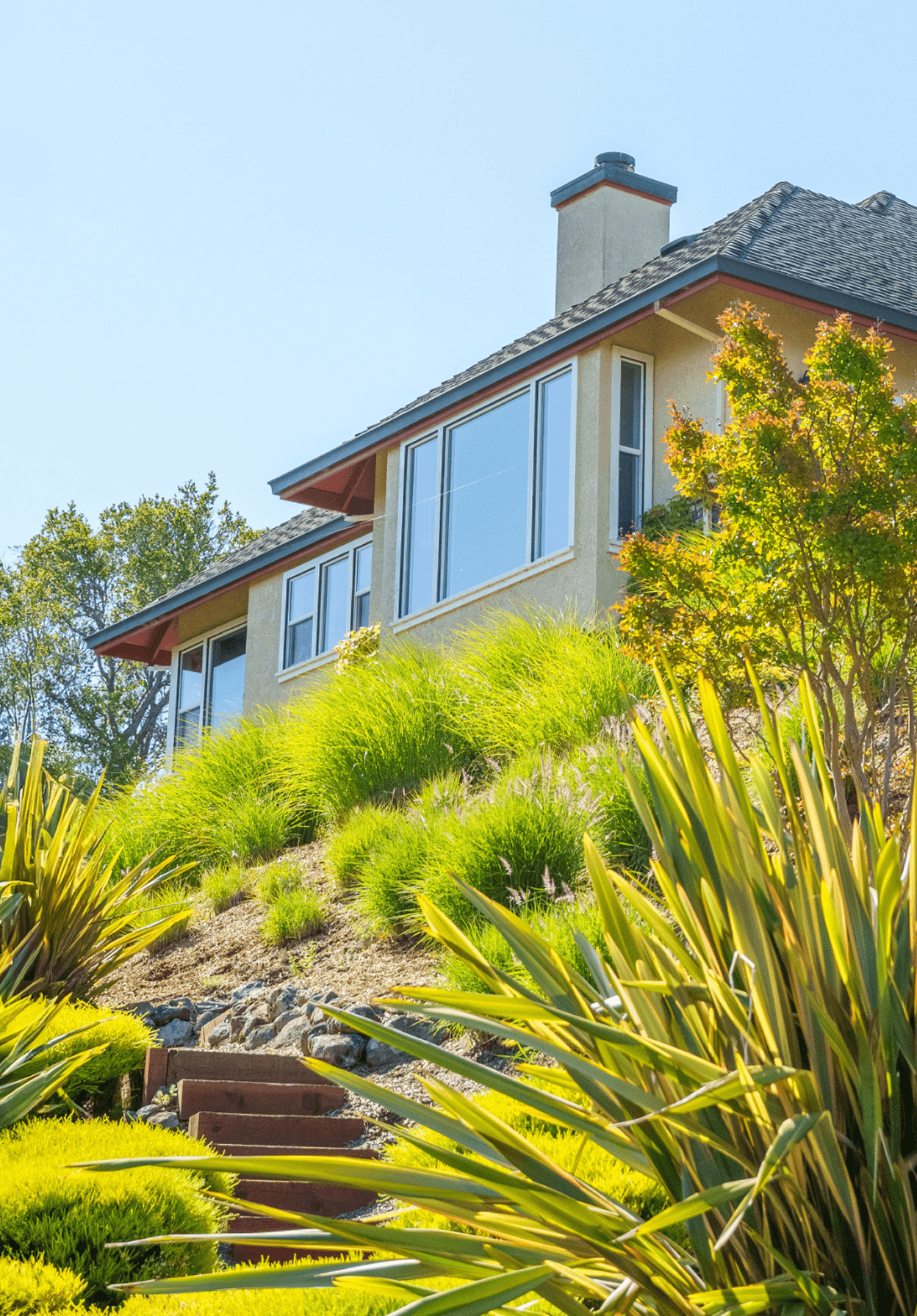 Beautiful California home with a well-designed landscape using shrubs, agave, hedges, and trees.