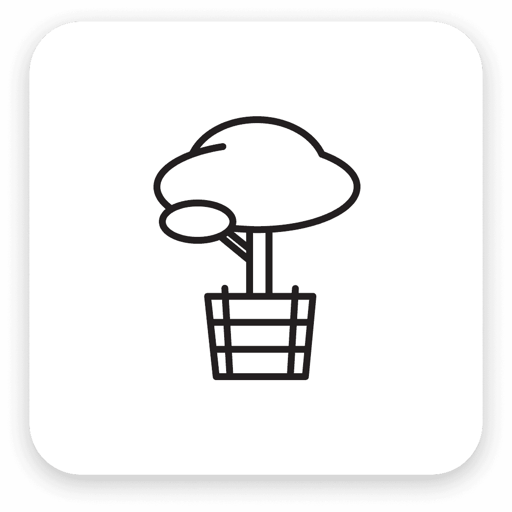 Box Tree Icon