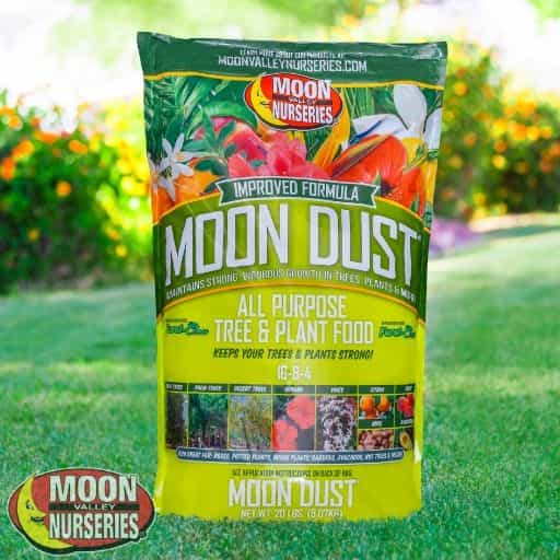 Moon Dust