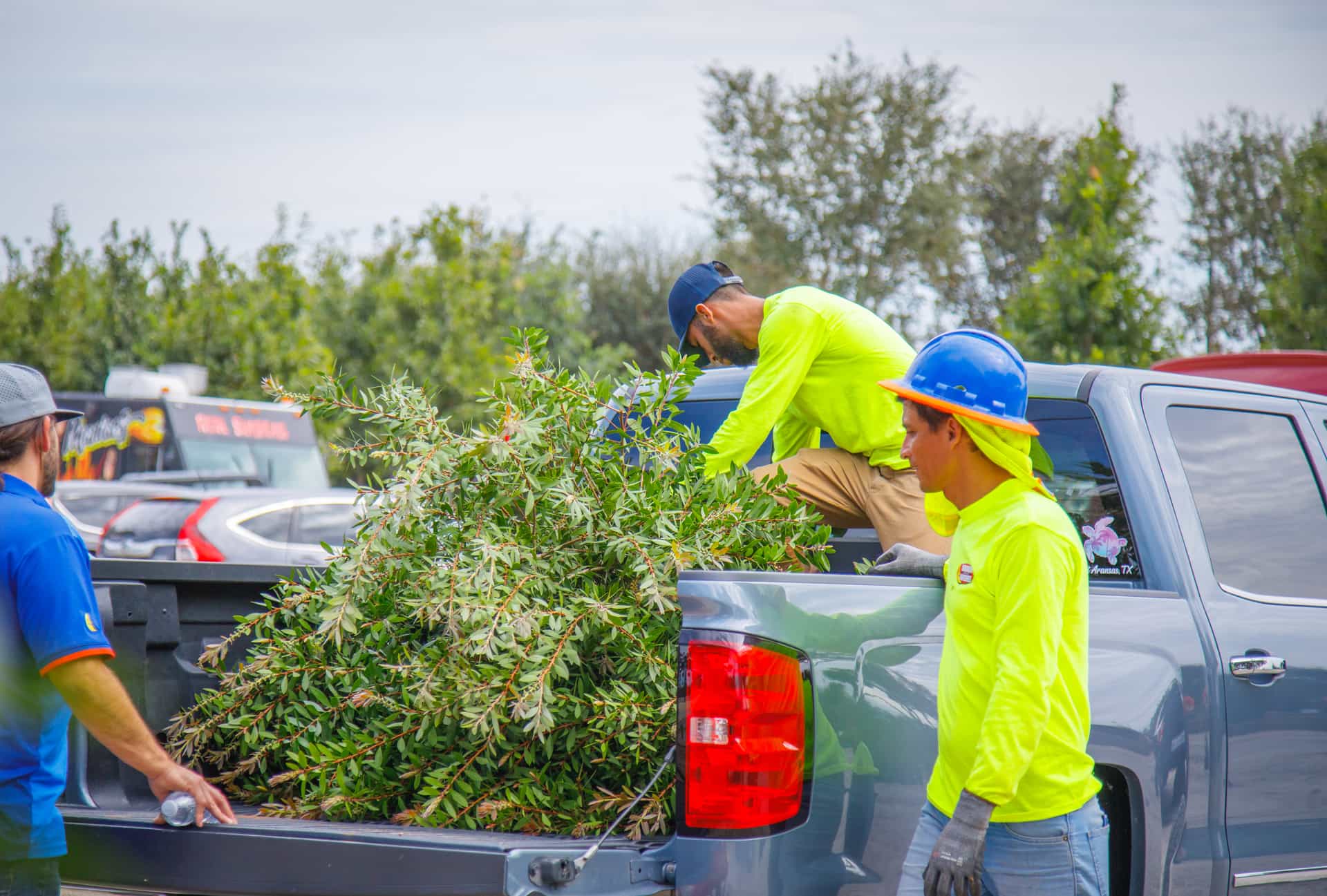 Landscapers loading plants into a pickup truck at the nursery