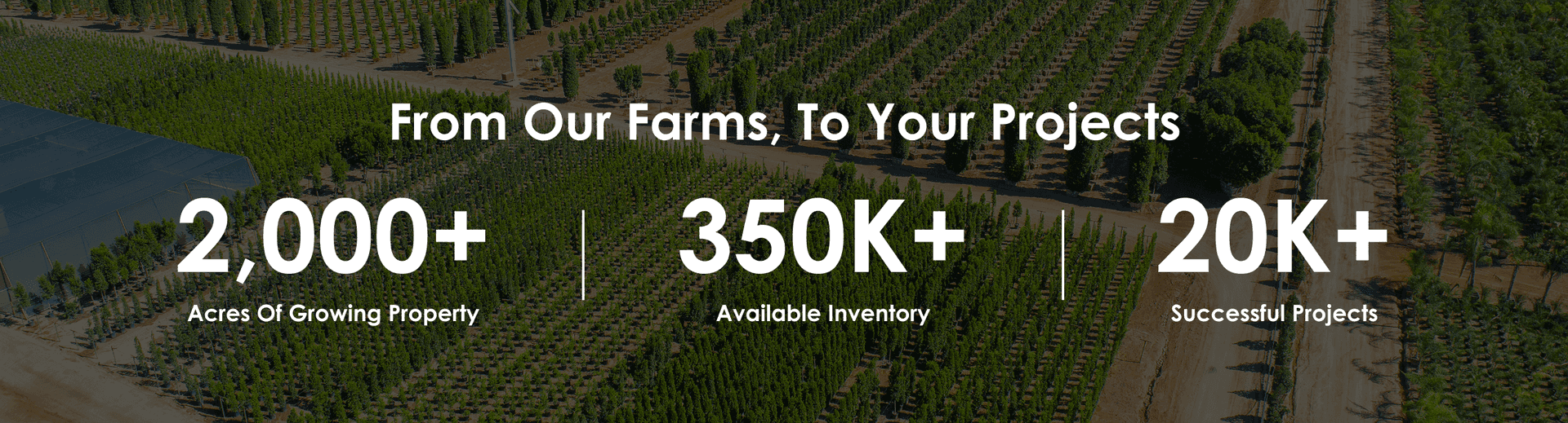 From our farms, to your projects | 2,000+ acres of growing property, 350k+ Available Inventory, 20K+ Successful Projects