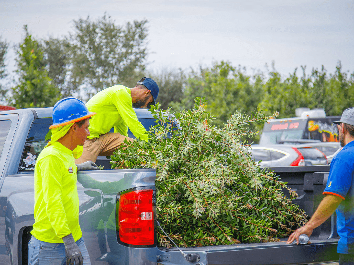 Moon Valley Nurseries experts helping deliver trees for a small scale wholesale client.